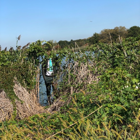 Meet your Posher, Arnold - Picture 1 of 1